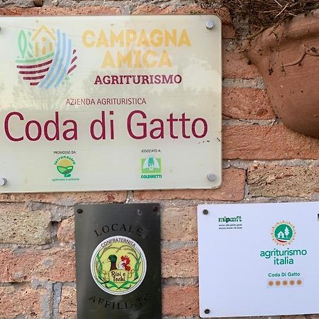 Agriturismo Coda Di Gatto Eraclea Exterior photo